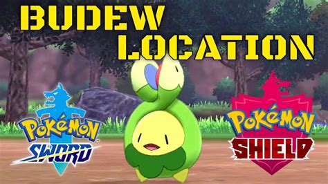 budew location.
